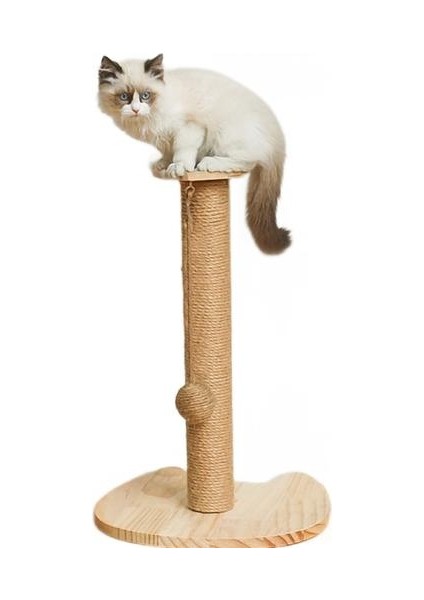 Kedi Scratcher Pençe Kalemtıraş Aşınmaya Dayanıklı Sisal Katı Ahşap Kombinasyonu Kitty Malzemeleri