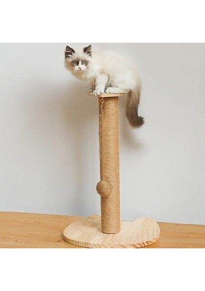 Kedi Scratcher Pençe Kalemtıraş Aşınmaya Dayanıklı Sisal Katı Ahşap Kombinasyonu Kitty Malzemeleri