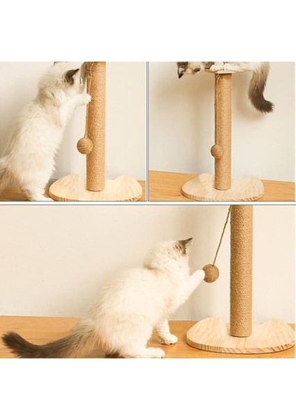 Kedi Scratcher Pençe Kalemtıraş Aşınmaya Dayanıklı Sisal Katı Ahşap Kombinasyonu Kitty Malzemeleri