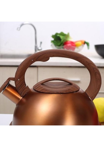 3l Çaydanlık Soba Üst Paslanmaz Çelik Geniş Taban Çay Su Isıtıcısı Stopetop Islık Çay Su Isıtıcısı ile Kalmak Serin Tutamak | Su Isıtıcılar
