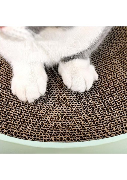 Kaktüs Kedi Scratcher Yuvarlak Oluklu Kedi Oyuncak