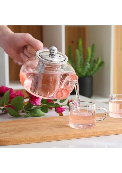 Şeffaf Cam Demlik Cam Çaydanlık Çay Paslanmaz Çelik Filtre Demlik Kapağı Modern Çay Potu Aracı Kettle Teaware 600ML | Çaydanlıklar(Yurt Dışından)