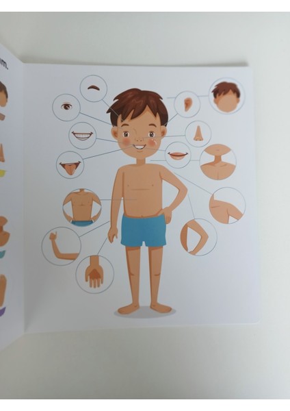 2-4 Yaş Bul-Bil Etkinlik Kitap Seti (3 Kitap) modelleri