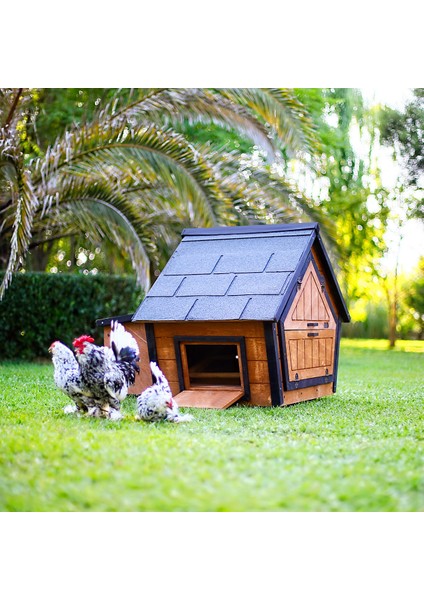 Ahşap Tavuk Kümesi 6 Tavuk ve Güvercin Evi