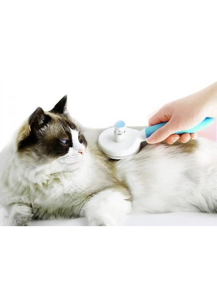 Pet Tarak Kedi Fırça Saç Ilk Köpek Saç Fırçası Pet Kendinden Temizleme Iğne Tarak (Mavi) modelleri