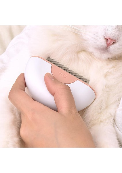Kedi Fırça Seti, Dökülme ve Tımar Için Köpek Kedi Fırçası, Pet Masaj Tarak (Pembe) fırsatları