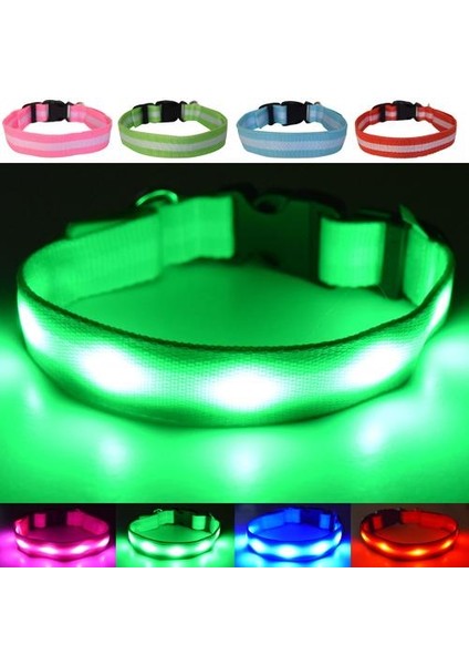 Eğlenceli Evcil Hayvanlar USB Şarj Edilebilir LED Köpek Güvenlik Yaka (Büyük (40CM - 60CM / 15.7 "- 23.6"), Yeşil) fiyatları