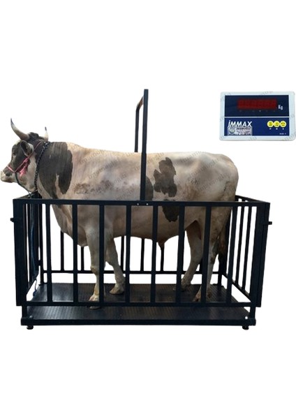 Büyükbaş Canlı Hayvan Baskülü 2 Ton 100x200 Cm Sarjlı