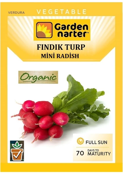 Garden Narter Kırmızı Fındık Turp Tohumu Doğal Organik Turp Tohumu Pakette 10 gr 1000 Adet Tohum