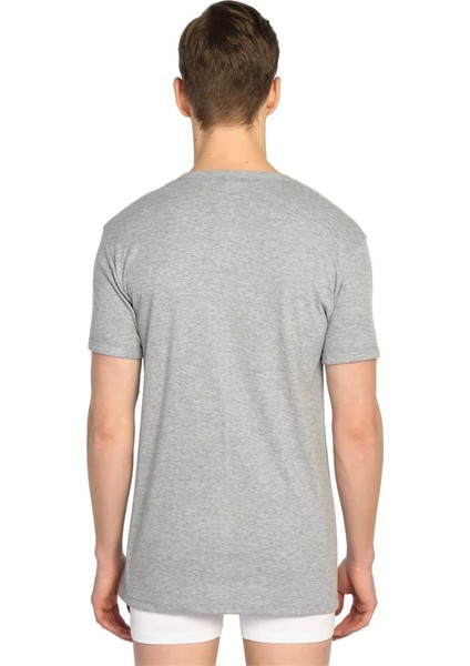 Ribana V Yaka Kısa Kol Erkek Fanila modelleri