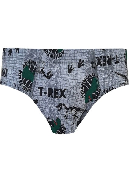 3'lü Paket Desenli Elastan Emprime Erkek Çocuk Slip fırsatları