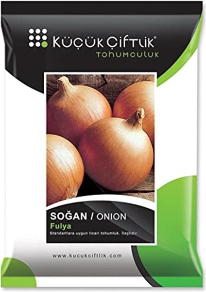 Fulya Kuru Soğan Tohumu