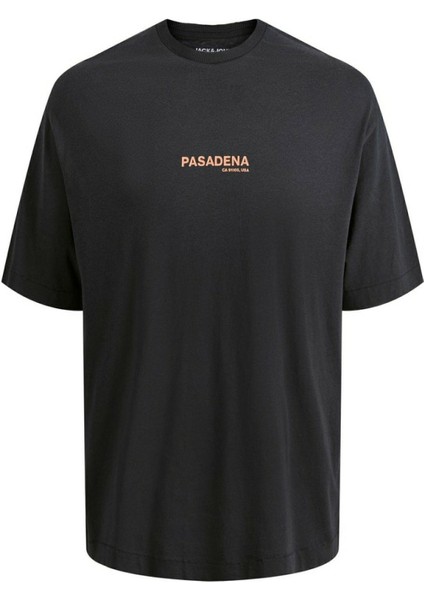 Hollywood Sunfade Erkek Tişört 12210401