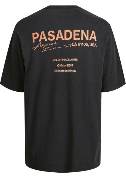 Hollywood Sunfade Erkek Tişört 12210401 fiyatları