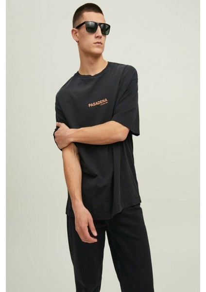 Hollywood Sunfade Erkek Tişört 12210401 modelleri