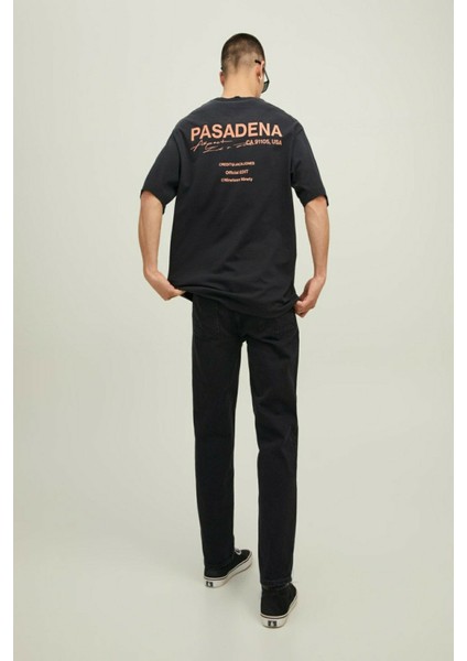 Hollywood Sunfade Erkek Tişört 12210401 fırsatları