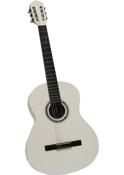 Toledo Marka 4/4 Gitar