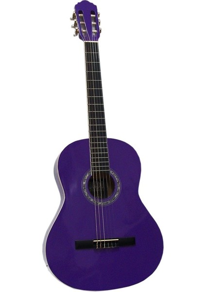 Toledo Marka 4/4 Gitar