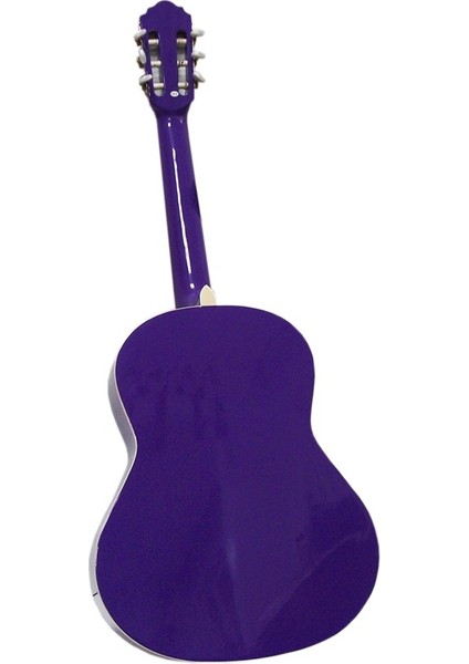 Toledo Marka 4/4 Gitar
