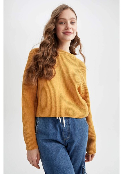 Coool Regular Fit Bisiklet Yaka Kazak L2567AZ22AU