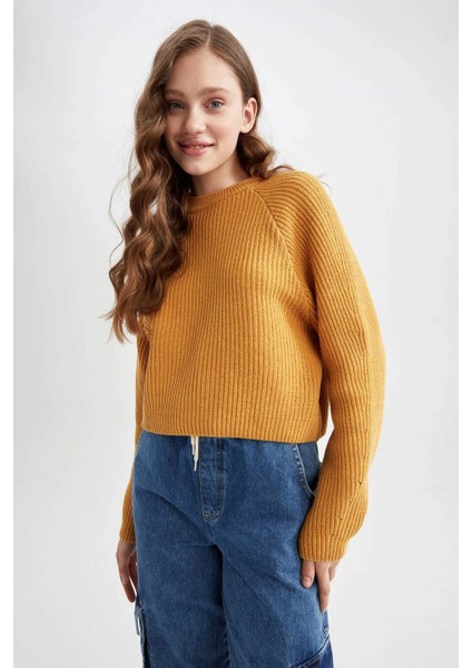 Coool Regular Fit Bisiklet Yaka Kazak L2567AZ22AU modelleri