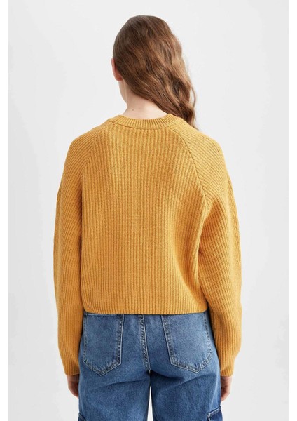 Coool Regular Fit Bisiklet Yaka Kazak L2567AZ22AU fırsatları