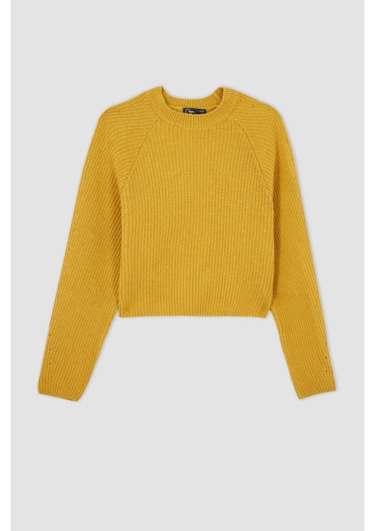 Coool Regular Fit Bisiklet Yaka Kazak L2567AZ22AU indirimleri