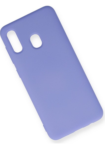 Samsung Galaxy A20 Kılıf Nano Içi Kadife Silikon - Lila fiyatları