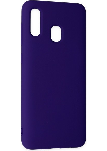 Samsung Galaxy A20 Kılıf Nano Içi Kadife Silikon - Mor modelleri