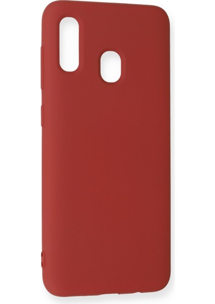 Samsung Galaxy A20 Kılıf Nano Içi Kadife Silikon - Kırmızı modelleri