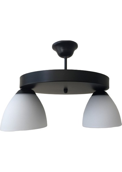 Mylights Retro   Ikili Opal Avize