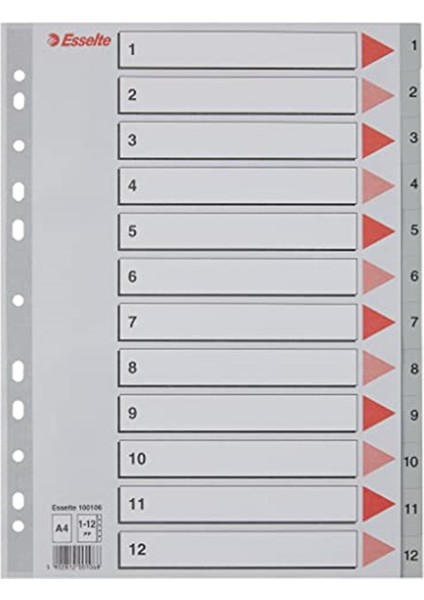 1-12 Rakam Separatör, A4, Gri, 100106
