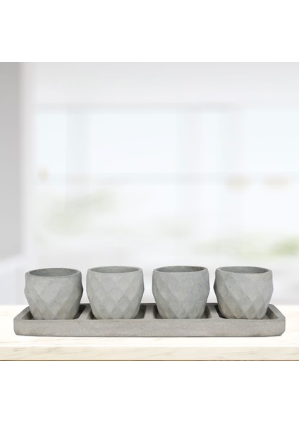 Hitit Gri Sumru 4'lü Saksı Seti