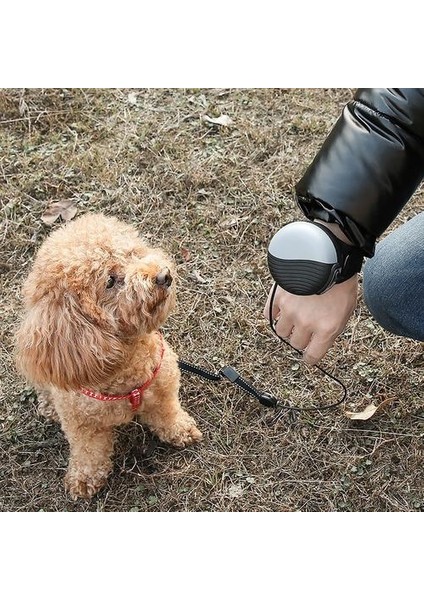 Handsfree Bilek Geri Çekilebilir Köpek Tasma (Yurt Dışından)