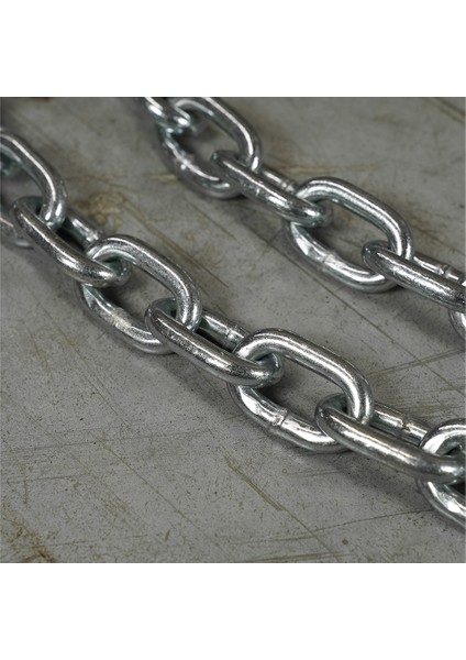 LP8089-05 Halter Zinciri 2x5 Kg
