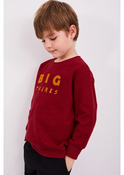 Big Thanks Bordo Erkek Çocuk Uzun Kol Pijama Takım modelleri