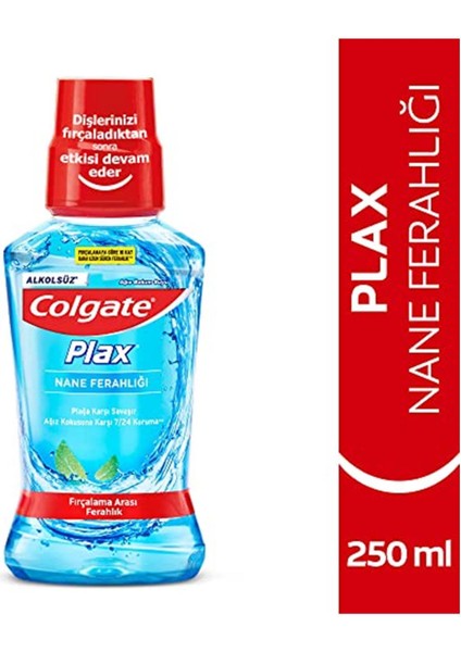 Plax Nane Ferahlığı Plağa Karşı Ağız Bakım Suyu 250 Ml fiyatları
