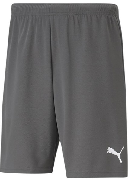 Teamrise Short Erkek Şortu 70494213 Gri