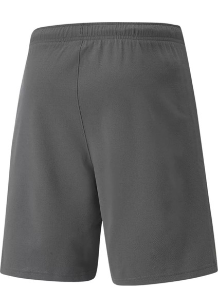 Teamrise Short Erkek Şortu 70494213 Gri