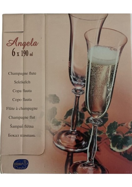 Cristal Angela 6 Parça Kadeh Seti 190 ml