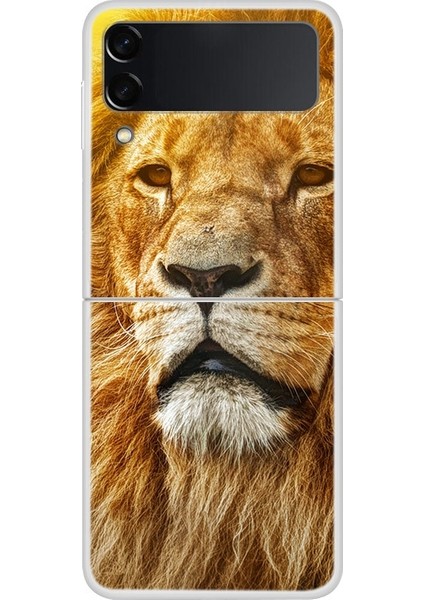 Samsung Galaxy Z Flip 4 Için Altın Aslan Desenli Sert Pc Koruma Kapaklı Telefon Kılıfı