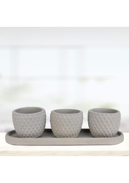 Eti Fiyu Gri 3 Lü Saksı Seti
