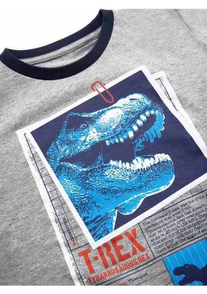 T-Rex Info Erkek Çocuk T-Shirt Pantolon Takım indirimleri