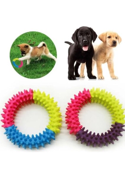 Köpek Isırma Çemberi Diş Kaşıma Aparatı Köpek Oyuncağı (12 Cm)