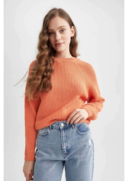 Coool Regular Fit Bisiklet Yaka Kazak L2567AZ22AU