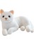 Kedi Peluş Oyuncak (Yurt Dışından) 1