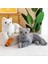 Kedi Peluş Oyuncak (Yurt Dışından) 2
