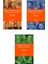 Ioan James - Büyük Matematikçiler - Büyük Mühendisler - Büyük Fizikçiler - 3 Kitap Set 1