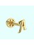 Altın Piercing -A- Harf 14 Ayar Tragus 1