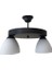 Mylights Retro   Ikili Opal Avize 1